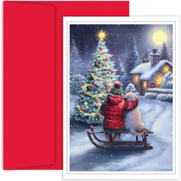 Masterpiece Studios Holiday Brights Collection 16-Count Boxed Christmas Cards - Picture 1 of 3